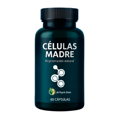 CÉLULAS MADRE